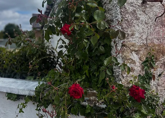 Ferienhaus Clontrain